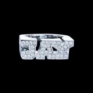 JAY Custom ring in 925 Silver and VVS Moissanite front view display on black background